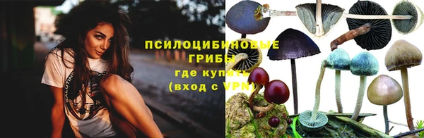 СК Волосово