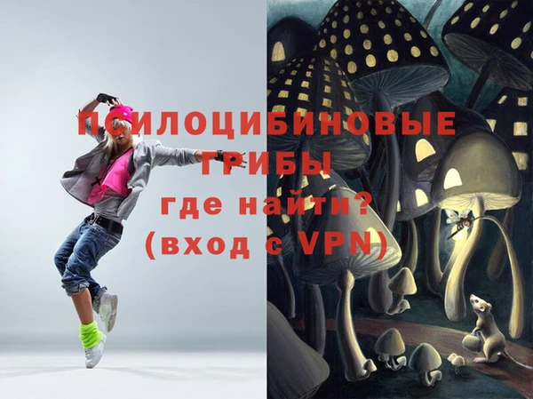 СК Волосово