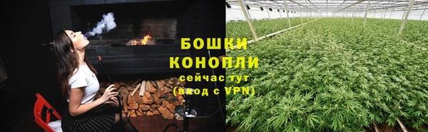 СК Волосово